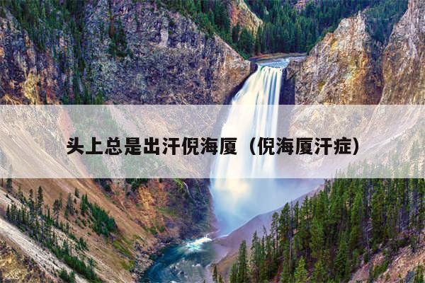 头上总是出汗倪海厦（倪海厦汗症）