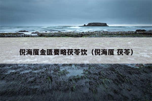 倪海厦金匮要略茯苓饮（倪海厦 茯苓）