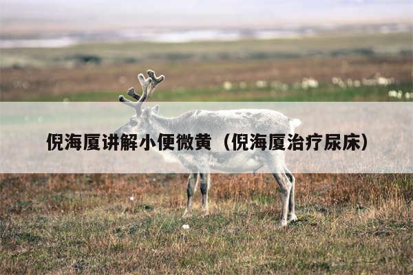 倪海厦讲解小便微黄（倪海厦治疗尿床）