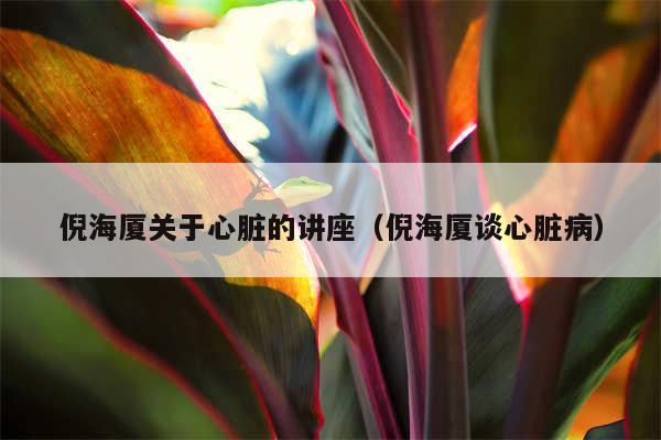 倪海厦关于心脏的讲座(倪海厦谈心脏病)