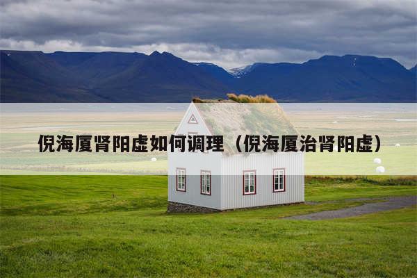 倪海厦肾阳虚如何调理(倪海厦治肾阳虚)