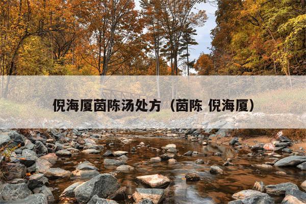 倪海厦茵陈汤处方（茵陈 倪海厦）