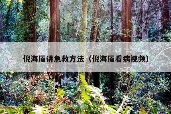倪海厦讲急救方法（倪海厦看病视频）