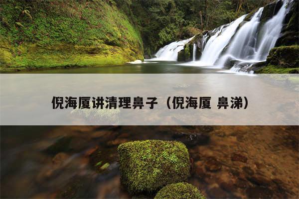 倪海厦讲清理鼻子（倪海厦 鼻涕）