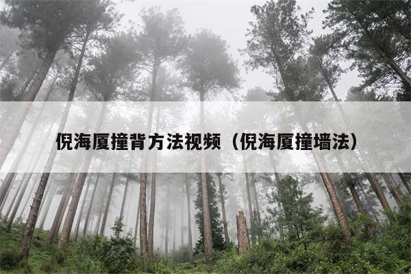 倪海厦撞背方法视频（倪海厦撞墙法）