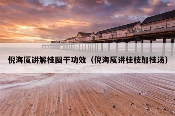 倪海厦讲解桂圆干功效（倪海厦讲桂枝加桂汤）