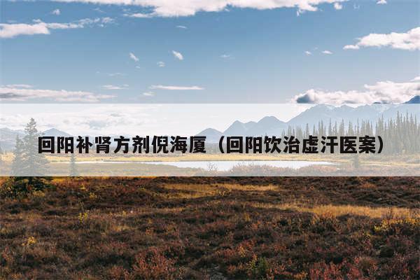 回阳补肾方剂倪海厦(回阳饮治虚汗医案)