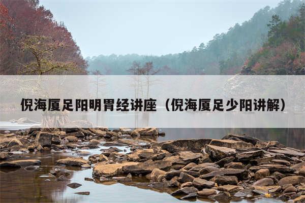 倪海厦足阳明胃经讲座（倪海厦足少阳讲解）