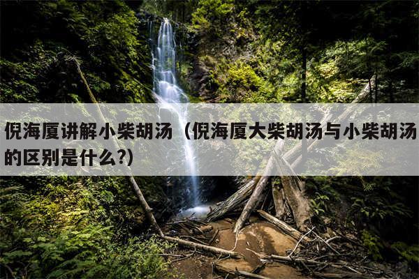倪海厦讲解小柴胡汤（倪海厦大柴胡汤与小柴胡汤的区别是什么?）