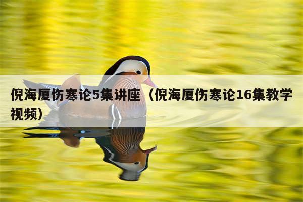 倪海厦伤寒论5集讲座（倪海厦伤寒论16集教学视频）