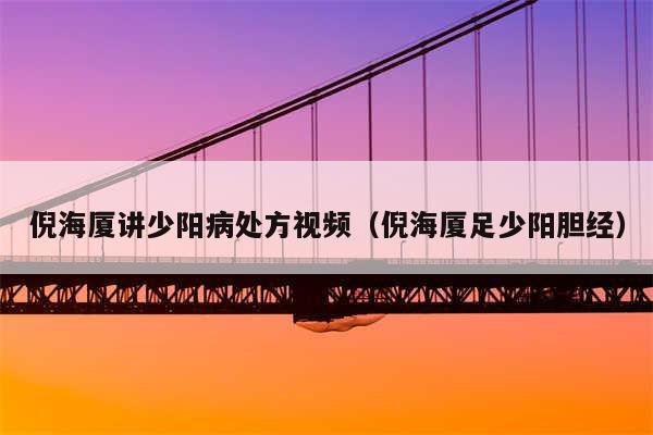 倪海厦讲少阳病处方视频（倪海厦足少阳胆经）