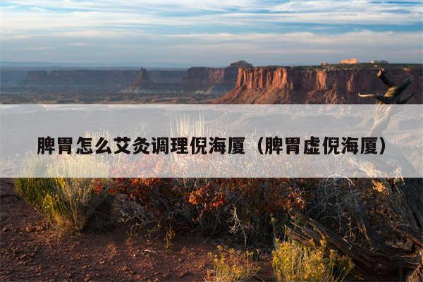 脾胃怎么艾灸调理倪海厦（脾胃虚倪海厦）