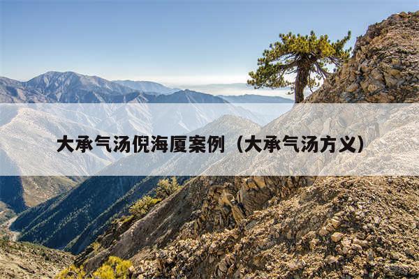 大承气汤倪海厦案例（大承气汤方义）