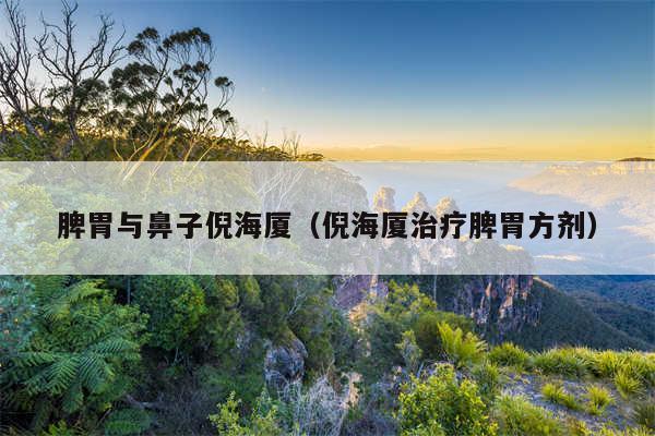 脾胃与鼻子倪海厦（倪海厦治疗脾胃方剂）