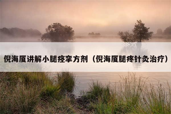 倪海厦讲解小腿痉挛方剂（倪海厦腿疼针灸治疗）