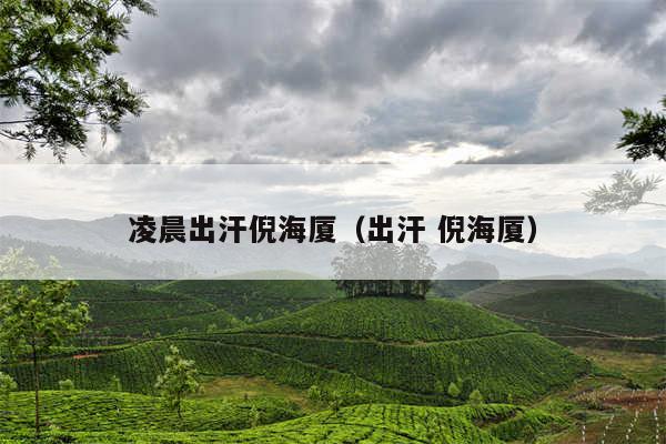 凌晨出汗倪海厦(出汗 倪海厦)