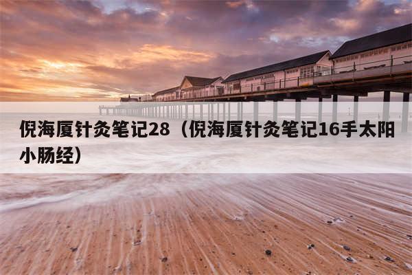 倪海厦针灸笔记28（倪海厦针灸笔记16手太阳小肠经）