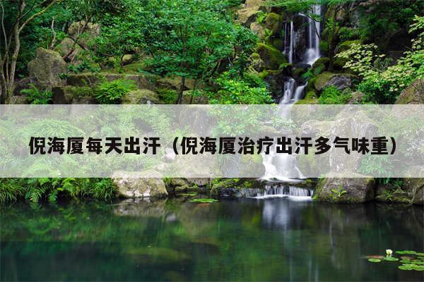 倪海厦每天出汗（倪海厦治疗出汗多气味重）