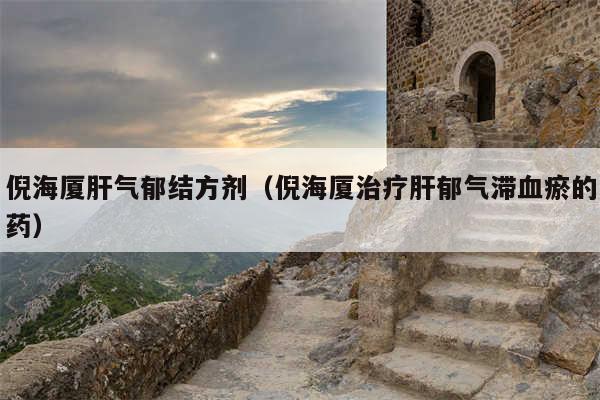 倪海厦肝气郁结方剂(倪海厦治疗肝郁气滞血瘀的药)