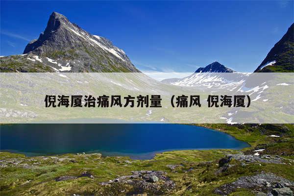 倪海厦治痛风方剂量（痛风 倪海厦）