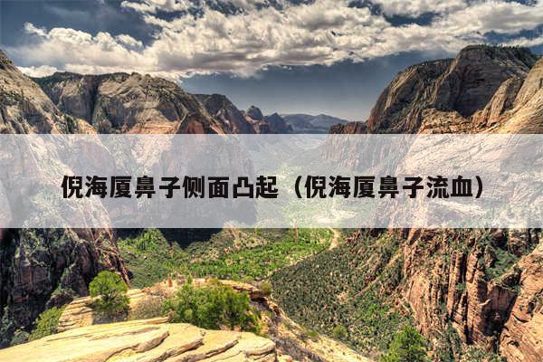 倪海厦鼻子侧面凸起(倪海厦鼻子流血)