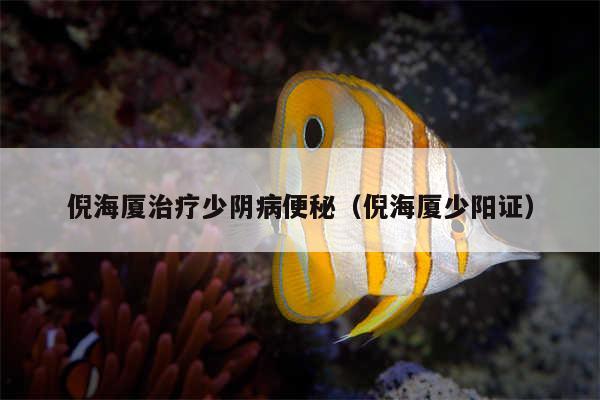 倪海厦治疗少阴病便秘(倪海厦少阳证)