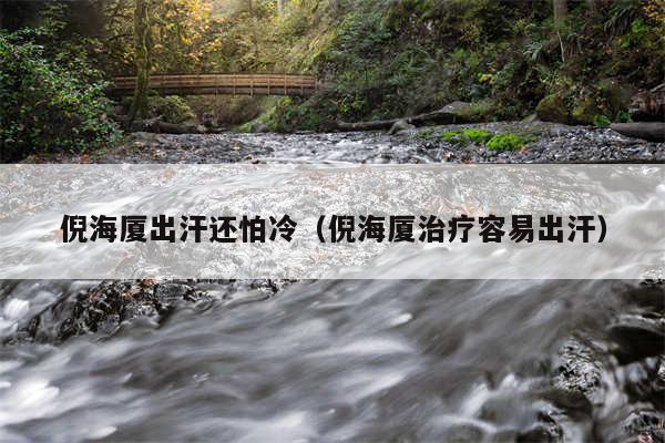 倪海厦出汗还怕冷（倪海厦治疗容易出汗）