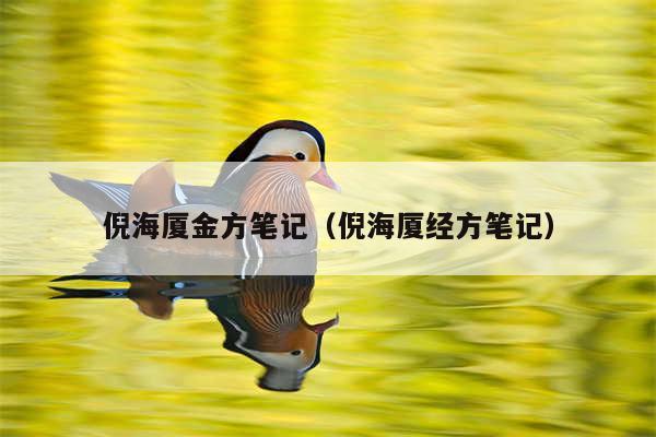 倪海厦金方笔记（倪海厦经方笔记）