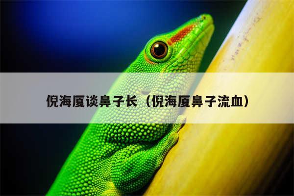 倪海厦谈鼻子长(倪海厦鼻子流血)