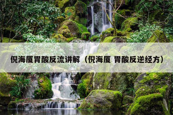 倪海厦胃酸反流讲解(倪海厦 胃酸反逆经方)