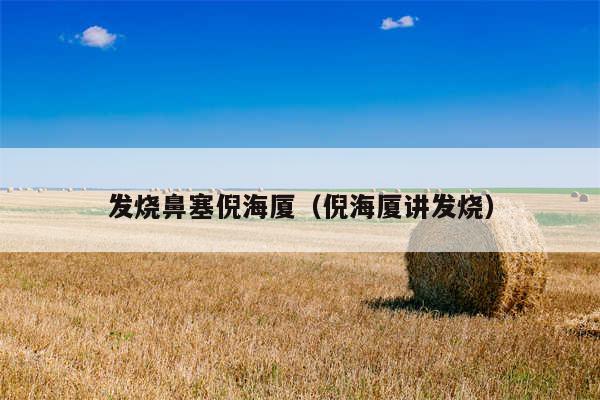 发烧鼻塞倪海厦（倪海厦讲发烧）