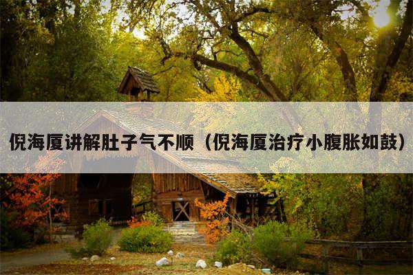 倪海厦讲解肚子气不顺(倪海厦治疗小腹胀如鼓)