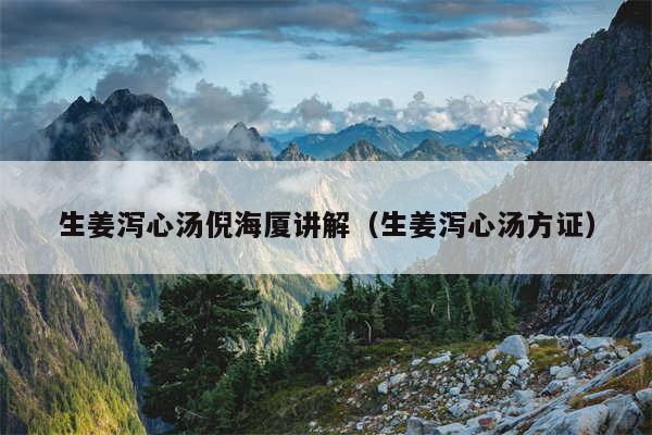 生姜泻心汤倪海厦讲解(生姜泻心汤方证)