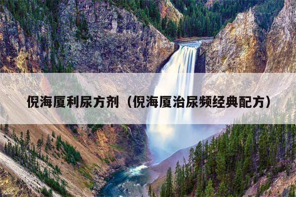 倪海厦利尿方剂(倪海厦治尿频经典配方)