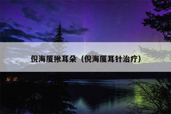 倪海厦揪耳朵(倪海厦耳针治疗)