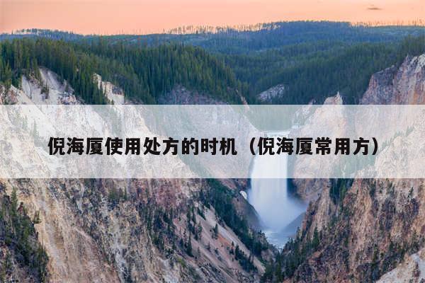 倪海厦使用处方的时机(倪海厦常用方)