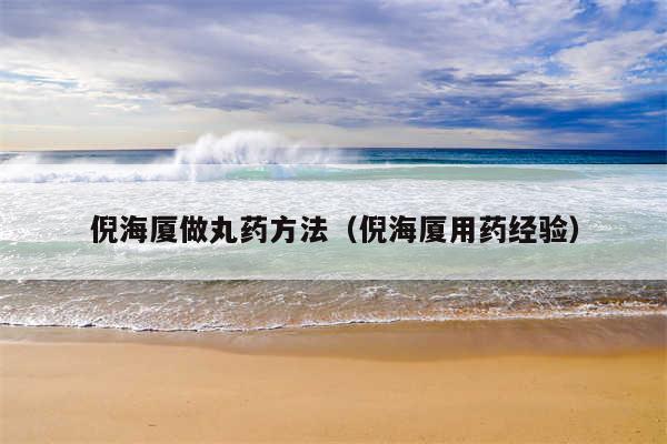 倪海厦做丸药方法（倪海厦用药经验）