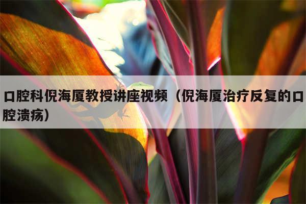 口腔科倪海厦教授讲座视频（倪海厦治疗反复的口腔溃疡）