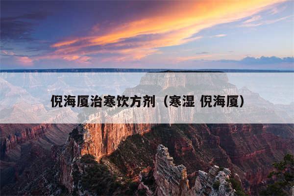 倪海厦治寒饮方剂（寒湿 倪海厦）