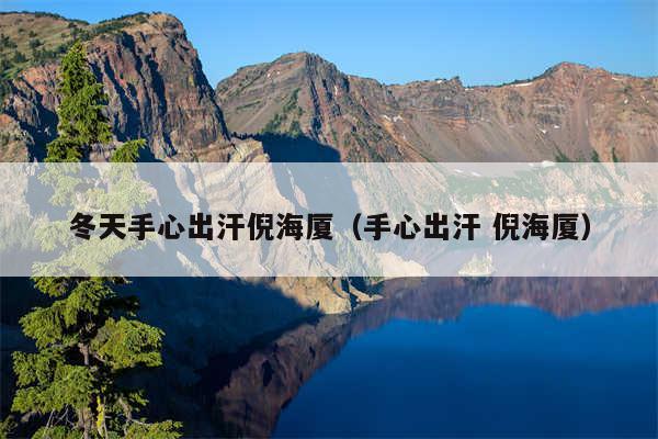 冬天手心出汗倪海厦（手心出汗 倪海厦）