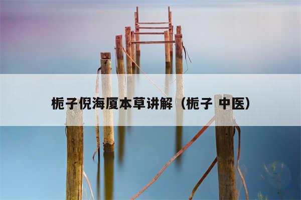 栀子倪海厦本草讲解（栀子 中医）