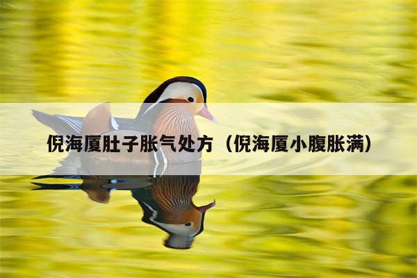 倪海厦肚子胀气处方（倪海厦小腹胀满）