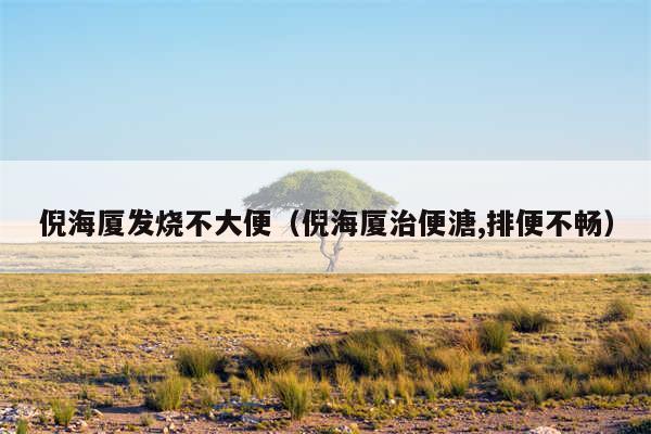 倪海厦发烧不大便（倪海厦治便溏,排便不畅）