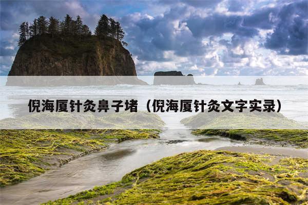 倪海厦针灸鼻子堵（倪海厦针灸文字实录）