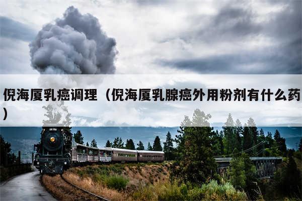倪海厦乳癌调理(倪海厦乳腺癌外用粉剂有什么药)
