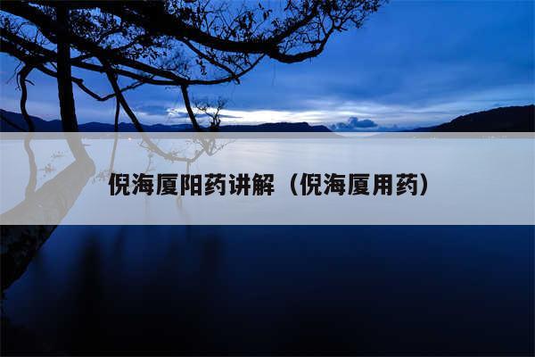 倪海厦阳药讲解（倪海厦用药）