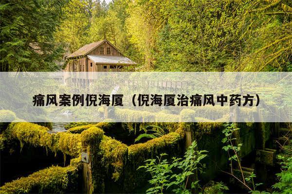 痛风案例倪海厦（倪海厦治痛风中药方）