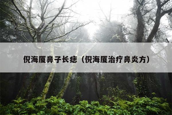 倪海厦鼻子长痣(倪海厦治疗鼻炎方)