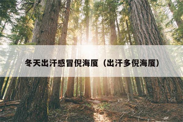 冬天出汗感冒倪海厦(出汗多倪海厦)