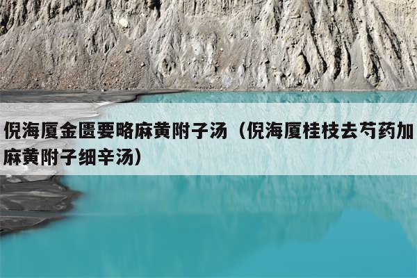 倪海厦金匮要略麻黄附子汤(倪海厦桂枝去芍药加麻黄附子细辛汤)